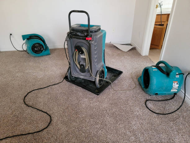 Best Mold removal after water damage  in Grantley, PA
