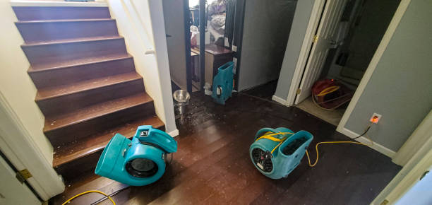 Best 24/7 water damage repair  in Grantley, PA