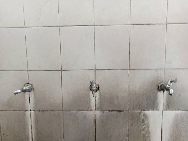 Best Water damage cleanup near me  in Grantley, PA