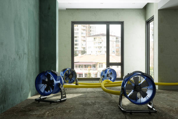 Best Carpet water damage restoration  in Grantley, PA