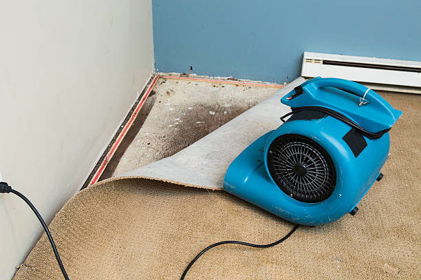 Best Water damage restoration near me  in Grantley, PA